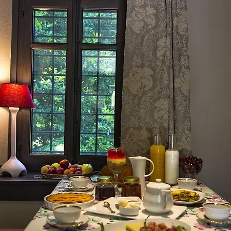 αrnica Montana Guest house 3*